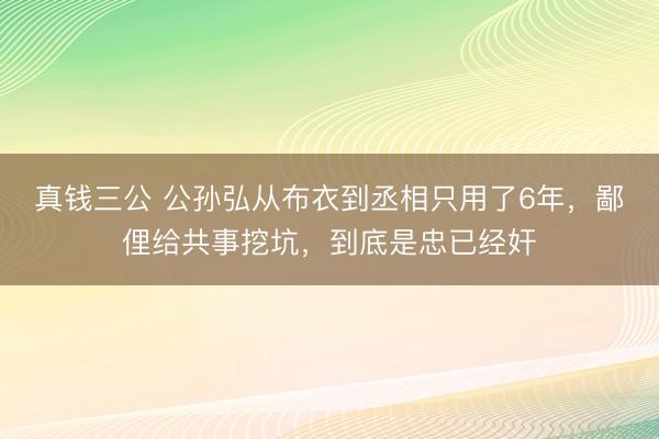 真钱三公 公孙弘从布衣到丞相只用了6年，鄙俚给共事挖坑，到底是忠已经奸