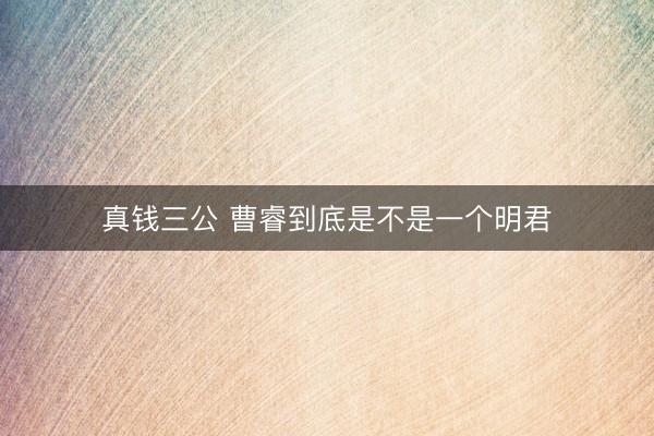 真钱三公 曹睿到底是不是一个明君