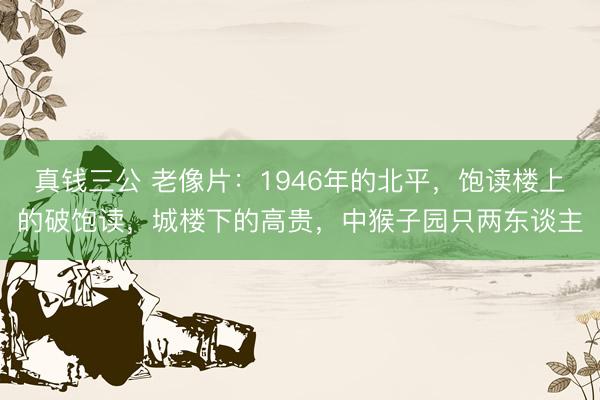 真钱三公 老像片：1946年的北平，饱读楼上的破饱读，城楼下的高贵，中猴子园只两东谈主