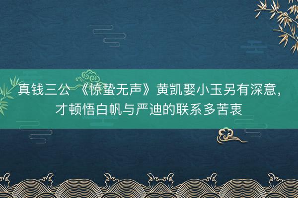 真钱三公 《惊蛰无声》黄凯娶小玉另有深意，才顿悟白帆与严迪的联系多苦衷