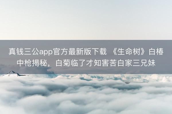 真钱三公app官方最新版下载 《生命树》白椿中枪揭秘，白菊临了才知害苦白家三兄妹