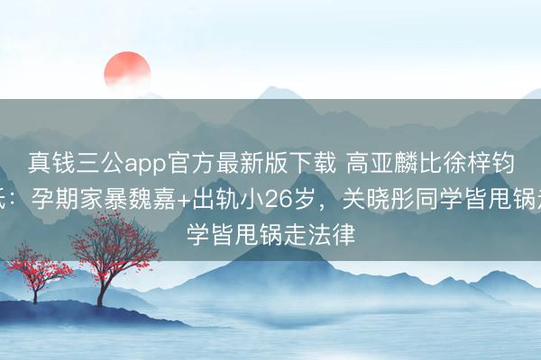 真钱三公app官方最新版下载 高亚麟比徐梓钧下限低:孕期家暴魏嘉+出轨小26岁,关晓彤同学皆甩锅走法律