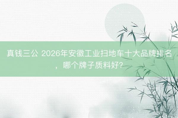 真钱三公 2026年安徽工业扫地车十大品牌排名，哪个牌子质料好？