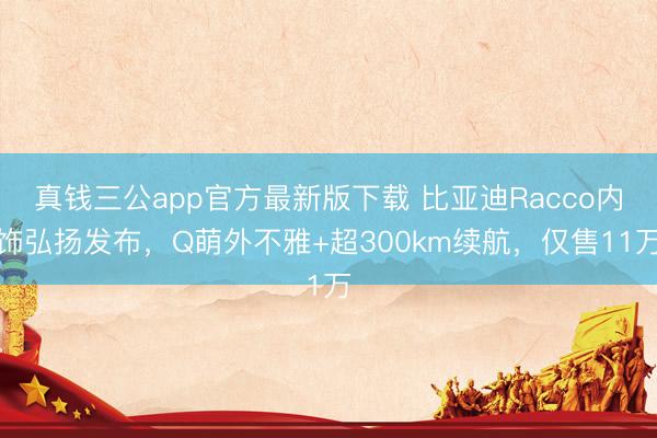 真钱三公app官方最新版下载 比亚迪Racco内饰弘扬发布，Q萌外不雅+超300km续航，仅售11万