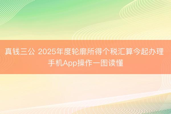 真钱三公 2025年度轮廓所得个税汇算今起办理 手机App操作一图读懂