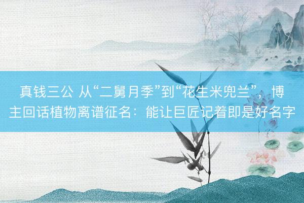 真钱三公 从“二舅月季”到“花生米兜兰”，博主回话植物离谱征名：能让巨匠记着即是好名字
