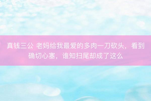 真钱三公 老妈给我最爱的多肉一刀砍头,看到确切心塞,谁知扫尾却成了这么