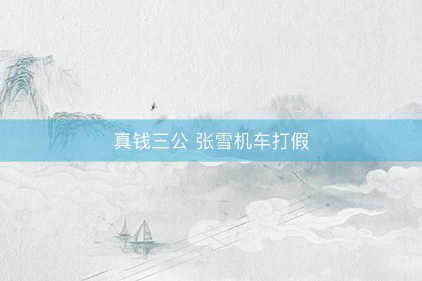 真钱三公 张雪机车打假