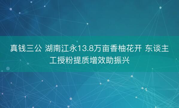 真钱三公 湖南江永13.8万亩香柚花开 东谈主工授粉提质增效助振兴