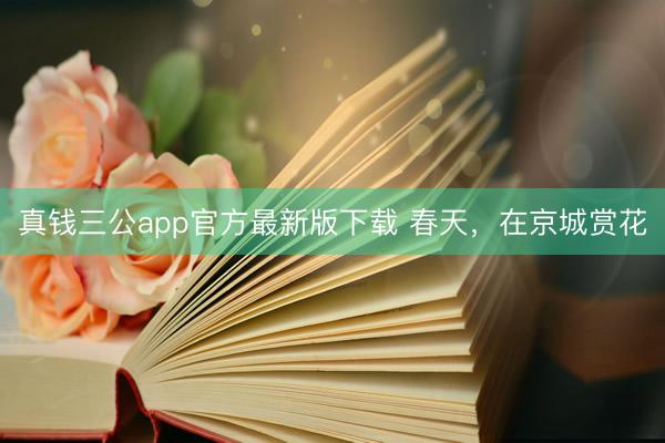 真钱三公app官方最新版下载 春天，在京城赏花