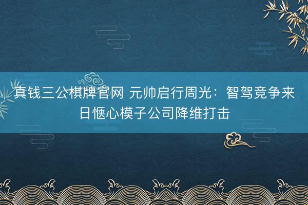 真钱三公棋牌官网 元帅启行周光:智驾竞争来日惬心模子公司降维打击