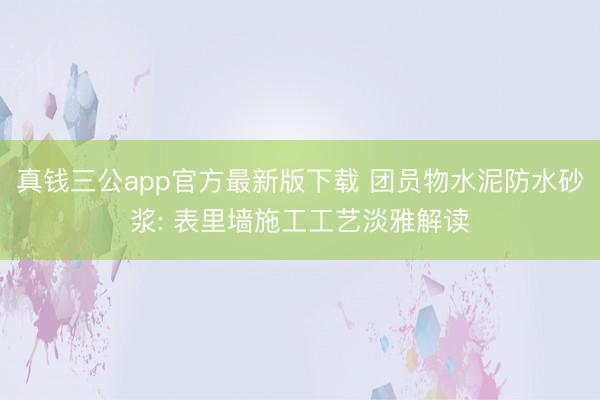 真钱三公app官方最新版下载 团员物水泥防水砂浆: 表里墙施工工艺淡雅解读