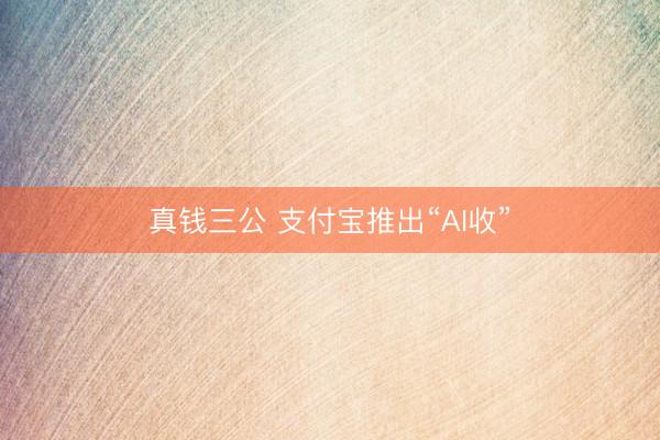真钱三公 支付宝推出“AI收”