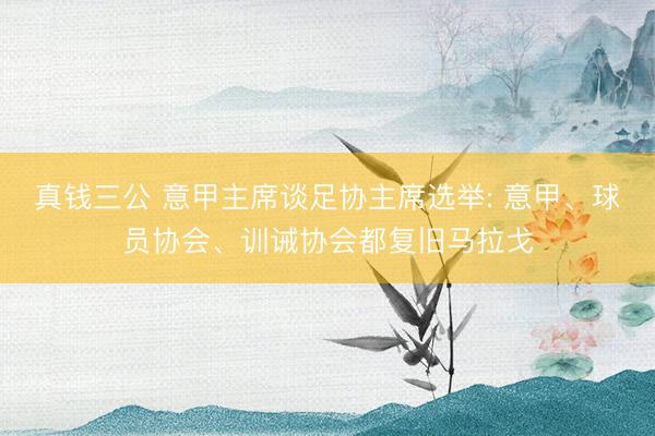 真钱三公 意甲主席谈足协主席选举: 意甲、球员协会、训诫协会都复旧马拉戈