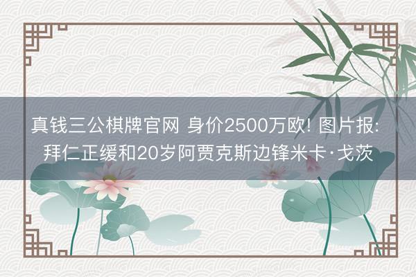 真钱三公棋牌官网 身价2500万欧! 图片报: 拜仁正缓和20岁阿贾克斯边锋米卡·戈茨